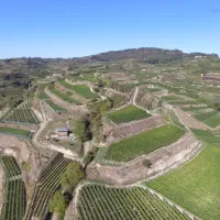 kaiserstuhl-camping-ihringen-cedew