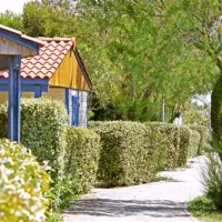 camping-lvl-les-ayguades-gruissan-8tob1