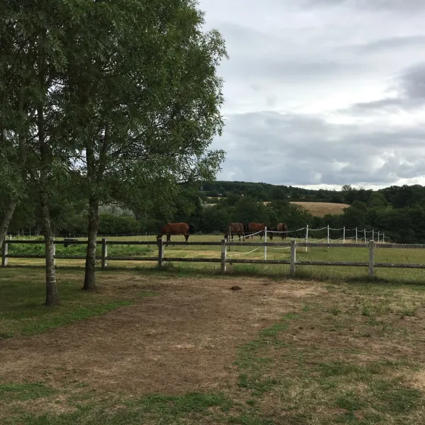 camping-domaine-de-soulisse-crilly-p4bvt