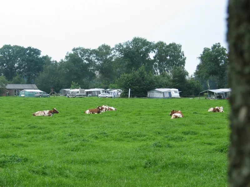 boerderijcamping-de-elshof-holten-72gh0