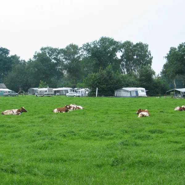 boerderijcamping-de-elshof-holten-72gh0