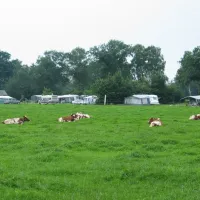 boerderijcamping-de-elshof-holten-72gh0