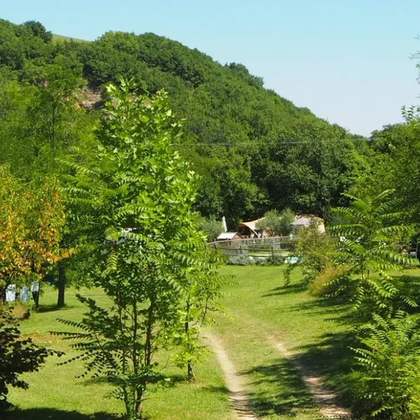 agriturismo-sensazione-arcevia-ivj0q