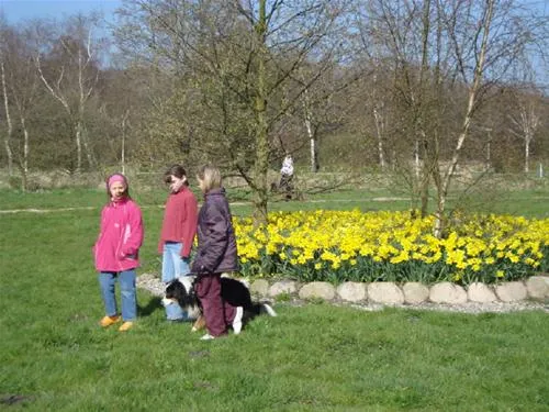 ostseecamping--gut-karlsminde-waabs-6cvdn
