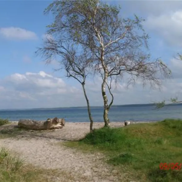 ostseecamping--gut-karlsminde-waabs-c9kfo