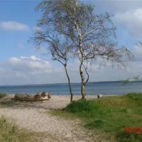 ostseecamping--gut-karlsminde-waabs-c9kfo