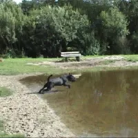 ostseecamping--gut-karlsminde-waabs-strim
