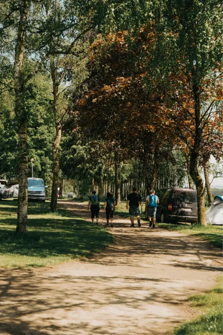 camping-bellevue-2000-berdorf-udkcy