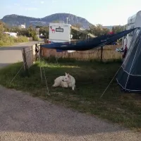 camping-el-molino-torroella-de-montgr-a1das