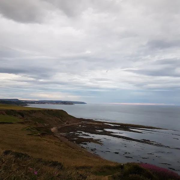 lebberston-touring-park-scarborough-8xsza