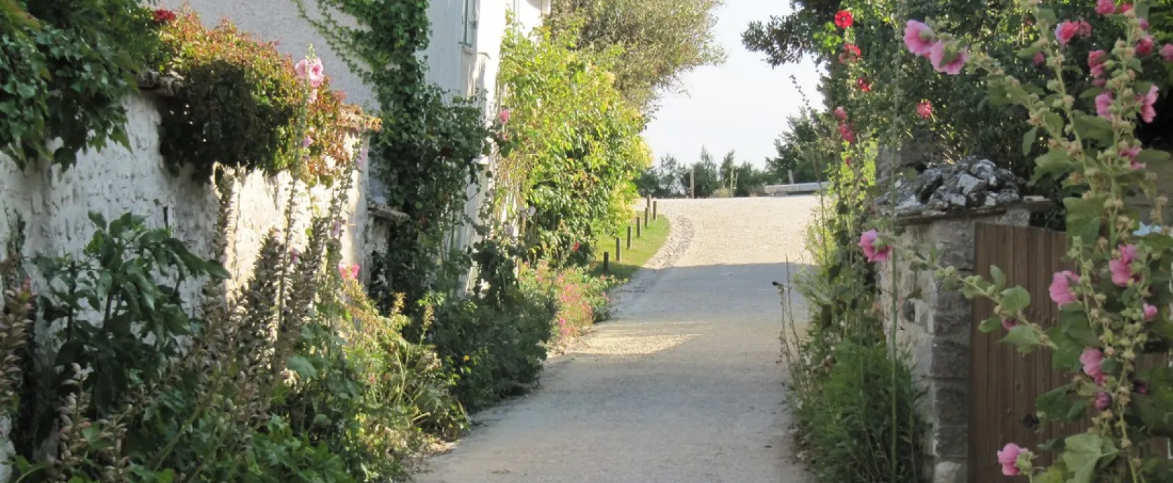 Camping Fleurs des Champs