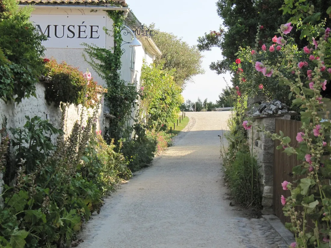 camping-fleurs-des-champs-arces-sur-gironde-f7bx6