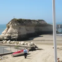 camping-fleurs-des-champs-arces-sur-gironde-o7ahm