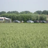 camping-hoeve-maedelstede-pollinkhove-59mbg