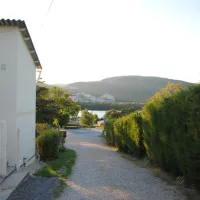 camping-floral-drme-8tgvh