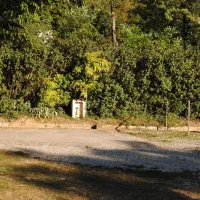camping-floral-drme-guero