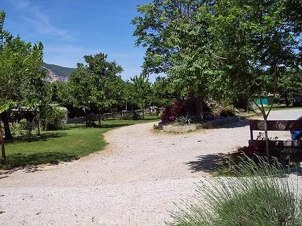 camping-floral-drme-mzjfd