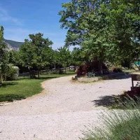 camping-floral-drme-mzjfd