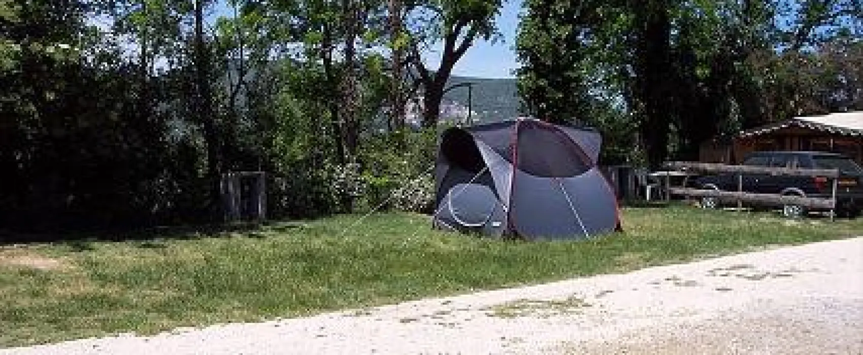 Camping Floral