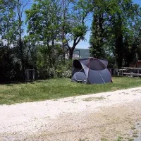 Camping Floral