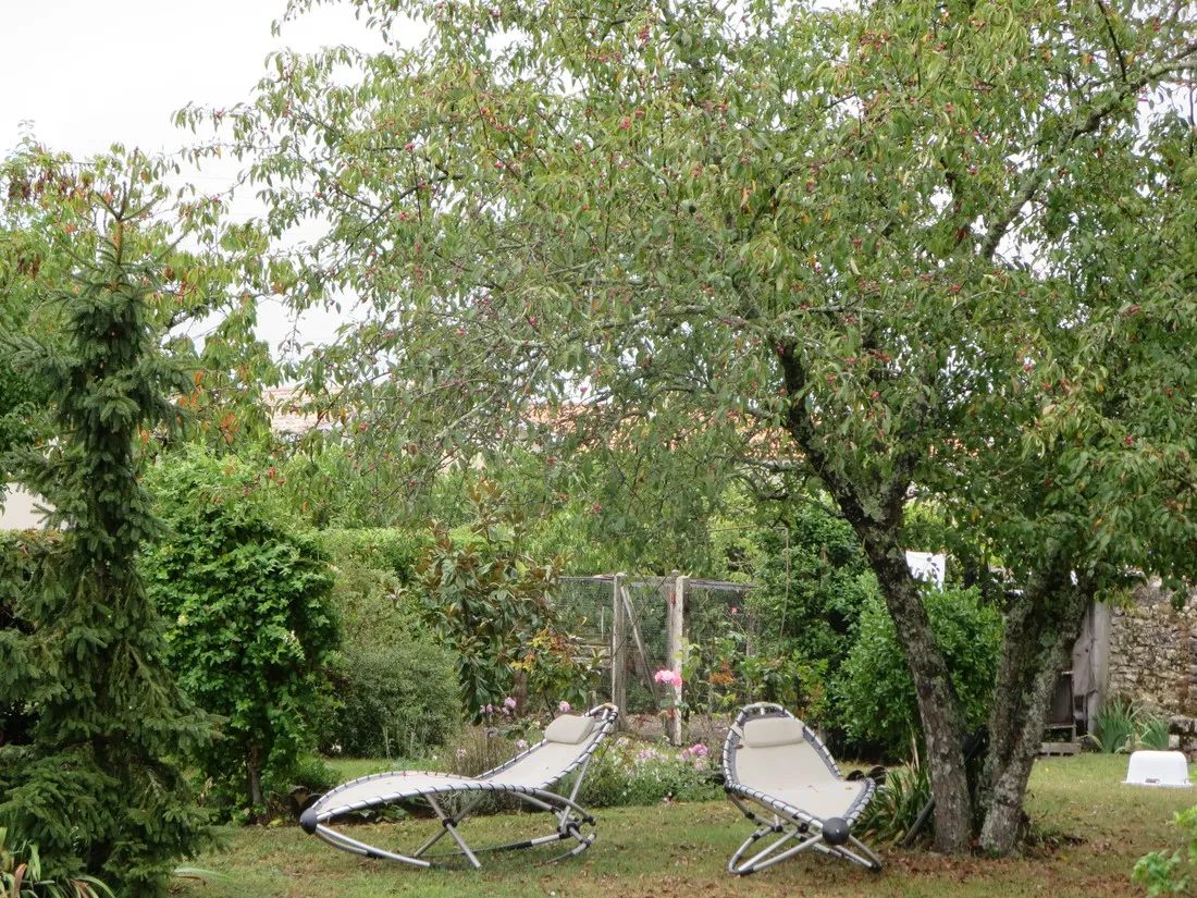 lestage-medoc-saint-seurin-de-cadourne-7ha3i