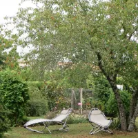 lestage-medoc-saint-seurin-de-cadourne-7ha3i