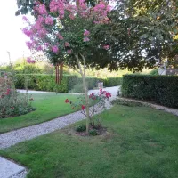 lestage-medoc-saint-seurin-de-cadourne-ivxnz