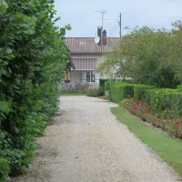 lestage-medoc-saint-seurin-de-cadourne-n19lv