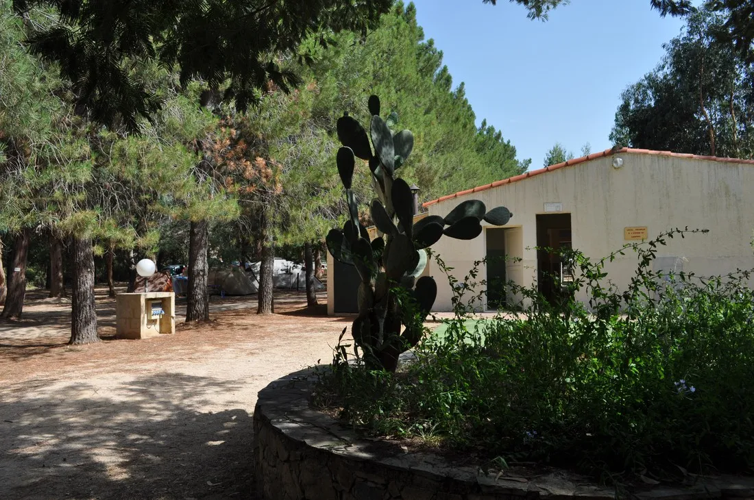 paradella-calenzana-mq0wg