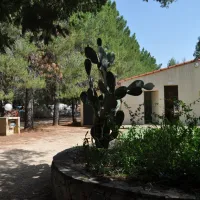 paradella-calenzana-mq0wg
