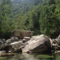 paradella-calenzana-skazx
