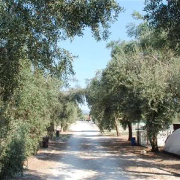camping-rio-opuzen-dtqiu