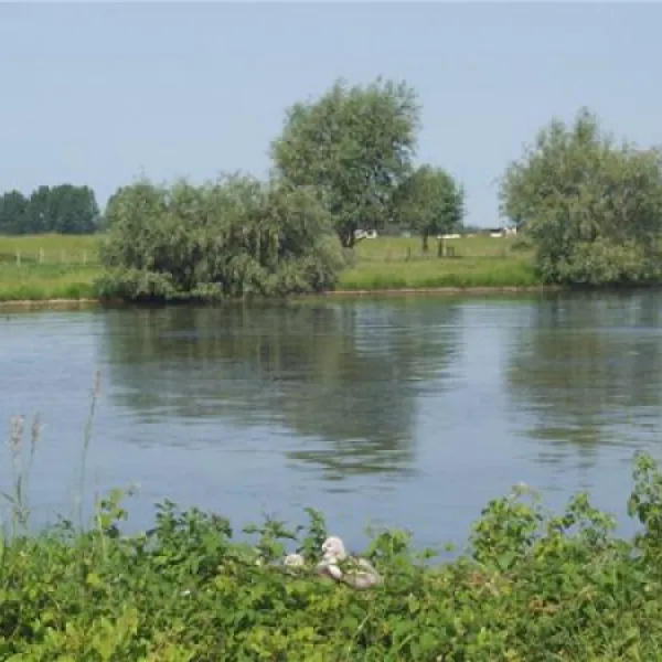 camping-de-schans-eck-en-wiel-toixd