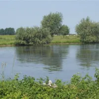 camping-de-schans-eck-en-wiel-toixd