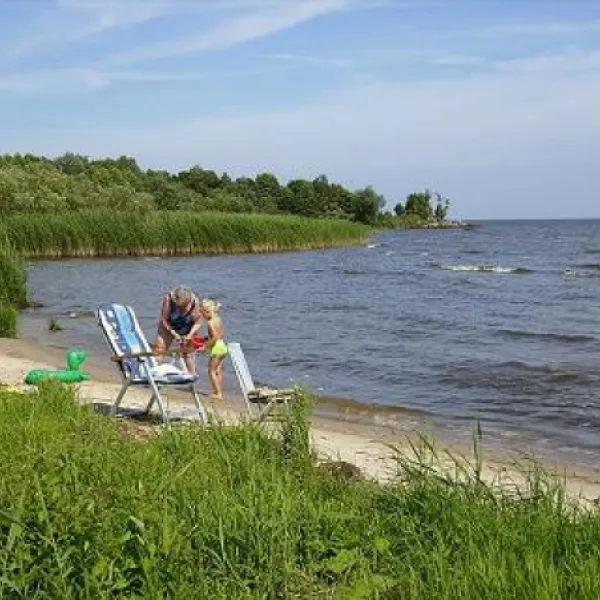 camping-willipu-pusi-szzww