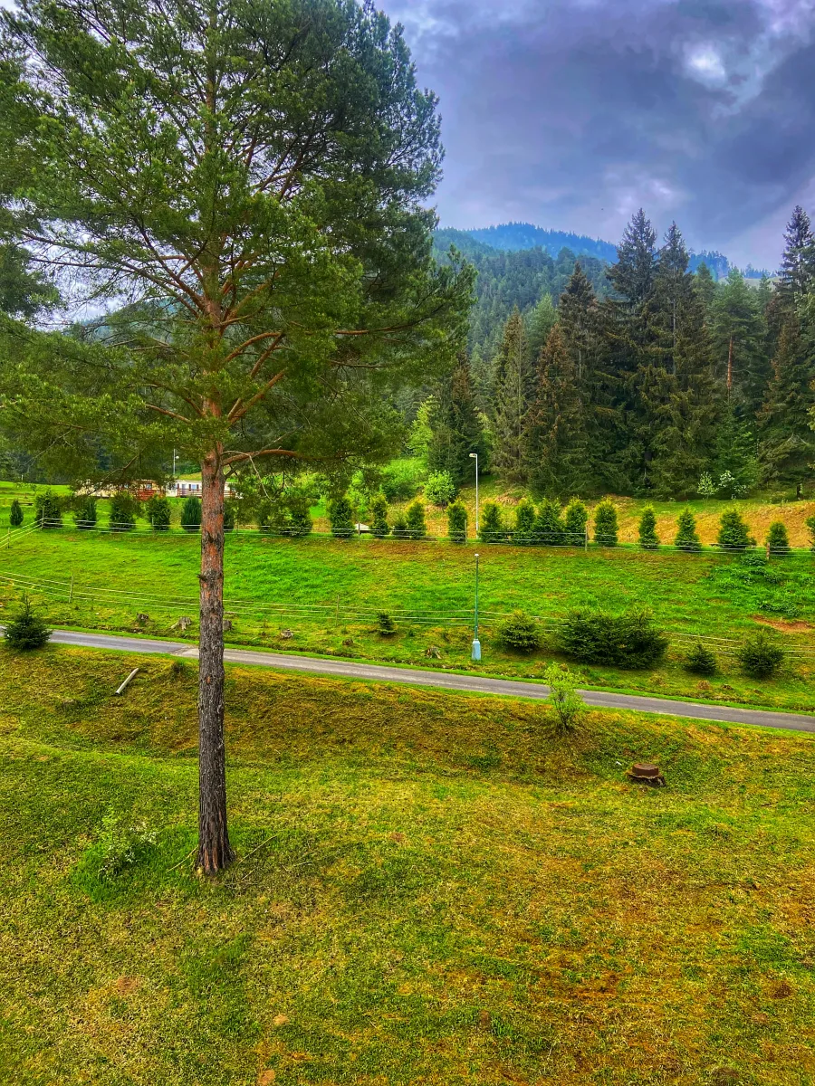 kemping-bystrina-demnovsk-dolina-mvftg