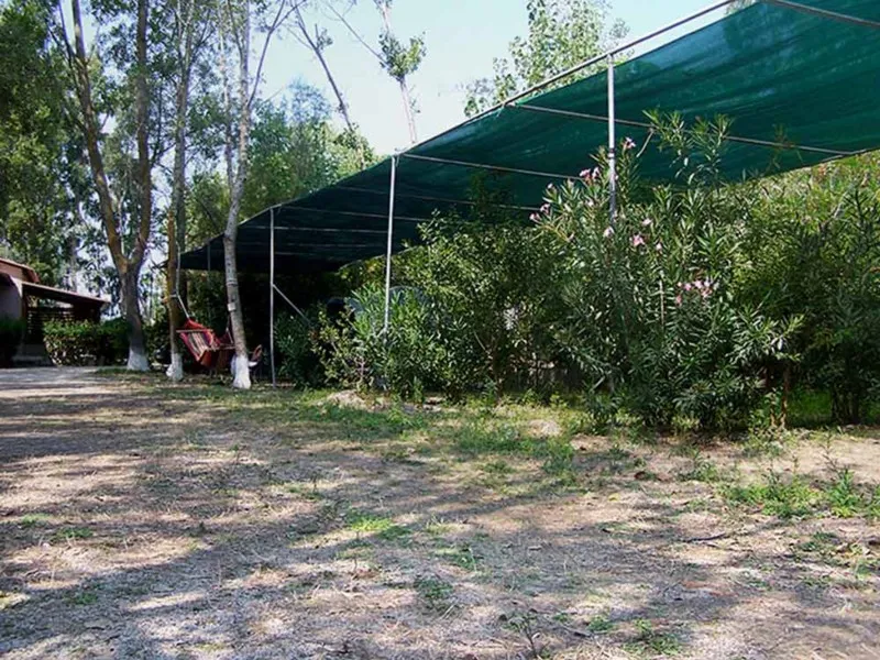 camping-pefki-3y9to