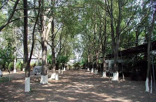 camping-pefki-blca4