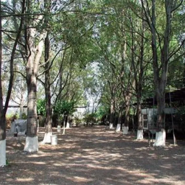 camping-pefki-blca4