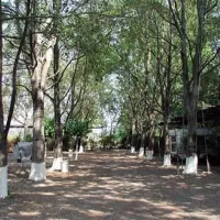 camping-pefki-blca4