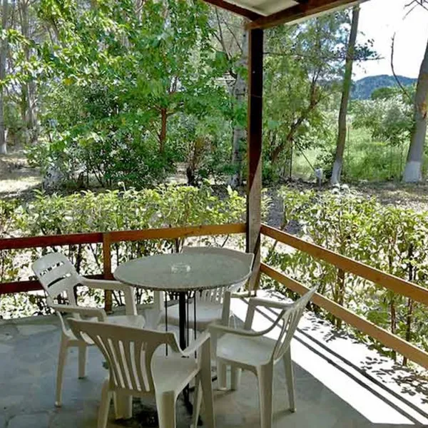 camping-pefki-qovzr