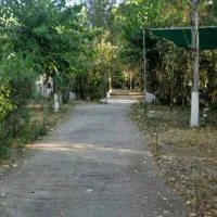 camping-pefki-soixf