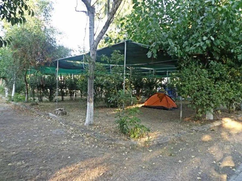 camping-pefki-wjshl