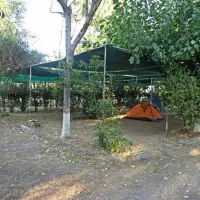 camping-pefki-wjshl