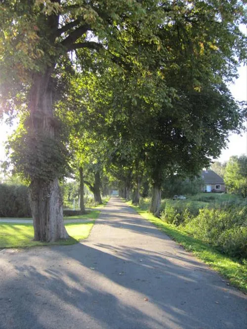 campingplatz-krautsand-drochtersen-gy1t4