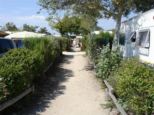 camping-municipal-du-sillon-ile-tudy-zat85