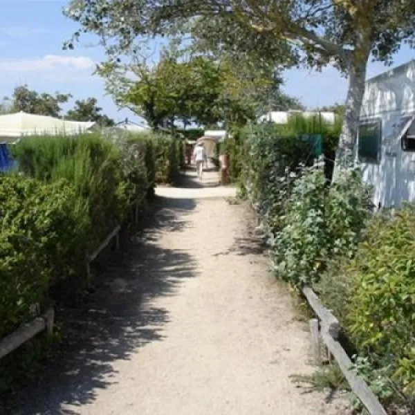 camping-municipal-du-sillon-ile-tudy-zat85
