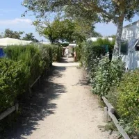Camping Municipal Du Sillon