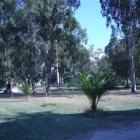 camping-del-levante-corigliano-calabro-9fwk1