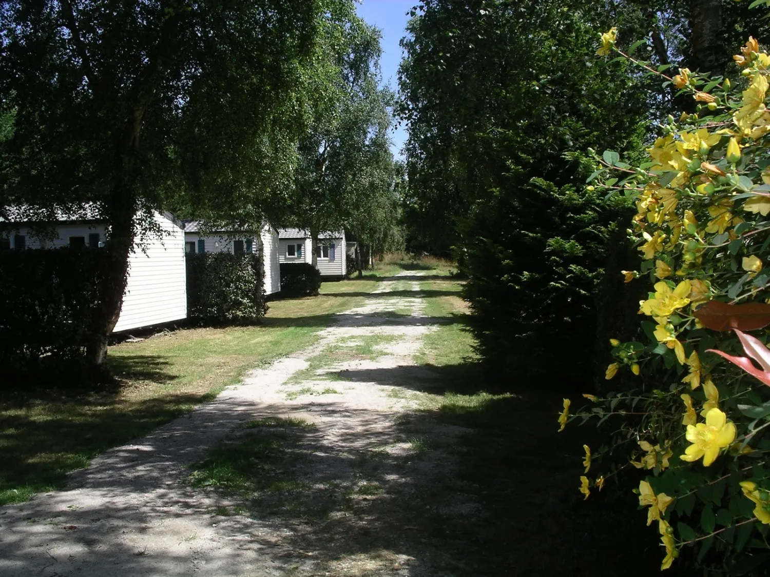camping-la-peupleraie-theix-h1nfh